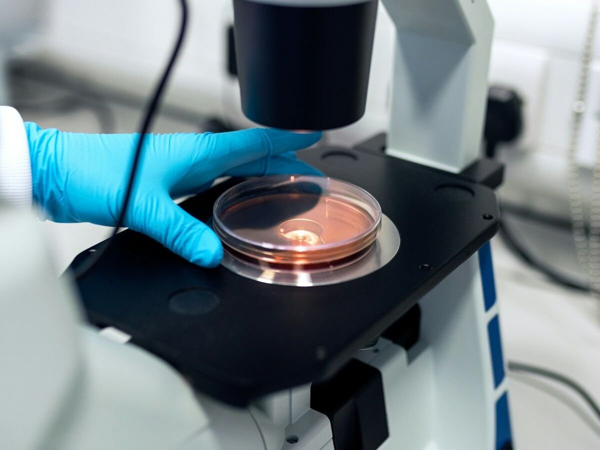 Embryo Culture & Incubation